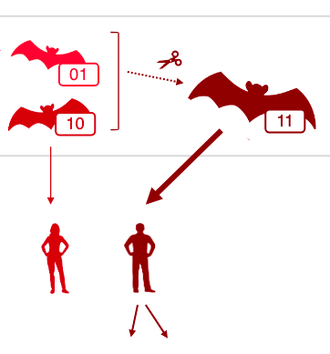 fig1