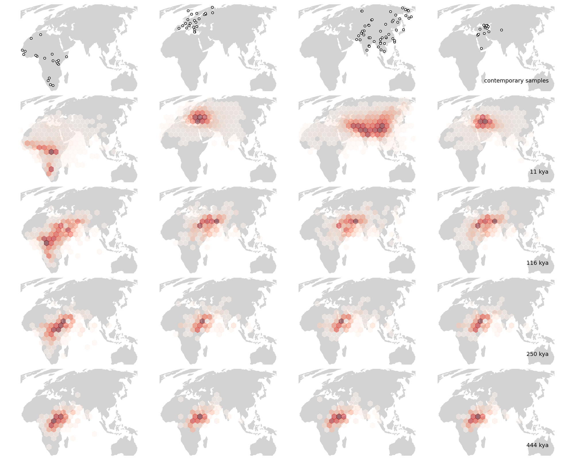our version of grundler fig 4