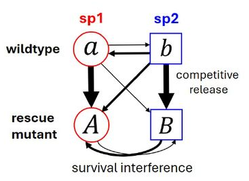 fig1